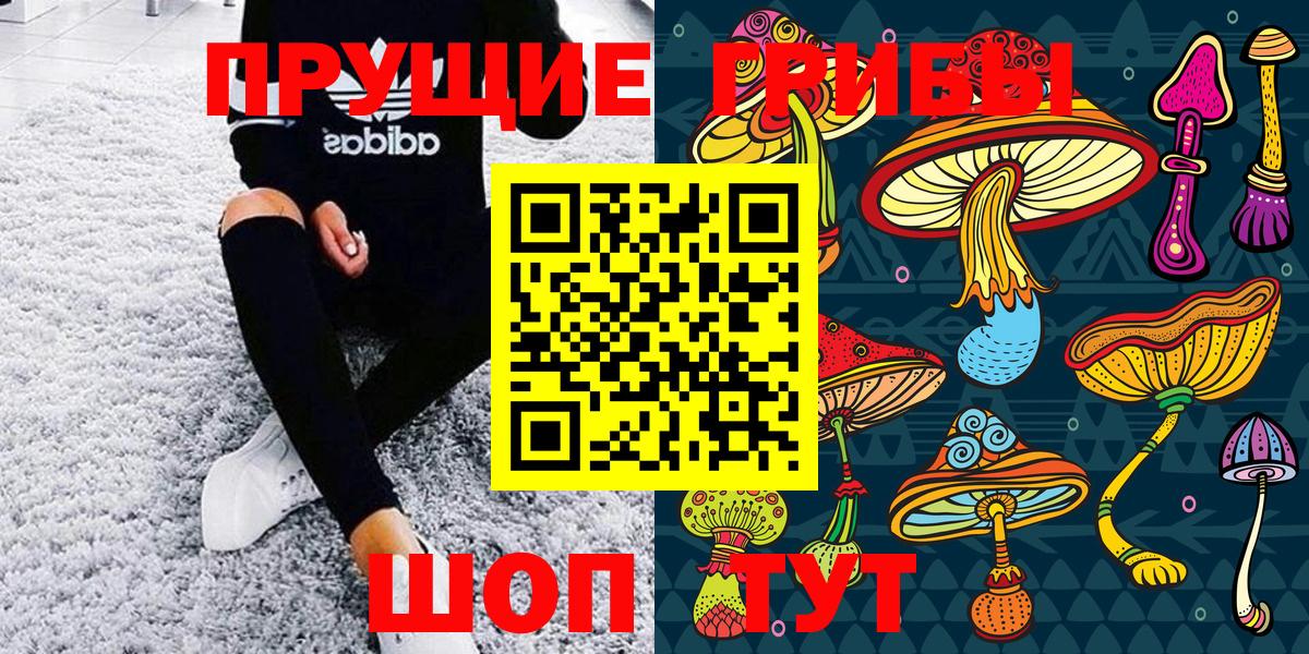 Мирный  купить   Вход с VPN  Псилоцибиновые грибы MAGIC MUSHROOMS 