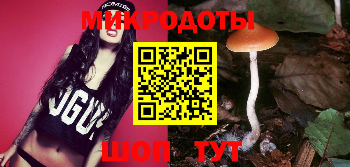 Псилоцибиновые грибы Cubensis Мирный