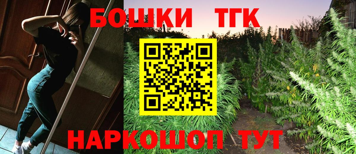 Конопля сатива Мирный